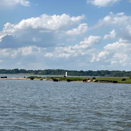 Im Wikingturm 20 4 Apartament *